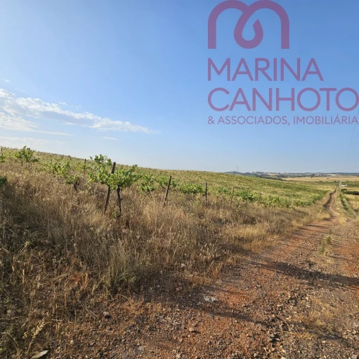 Terreno para Venda em Orada Foto 18