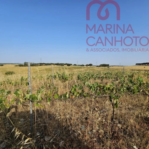 Terreno para Venda em Orada Foto 24