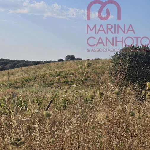 Terreno para Venda em Orada Foto 3