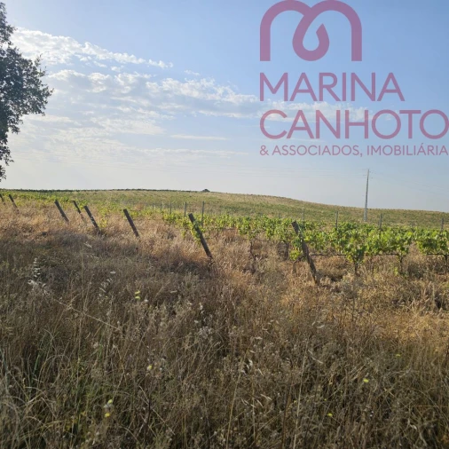 Terreno para Venda em Orada Foto 28