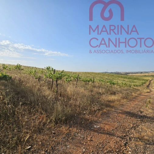 Terreno para Venda em Orada Foto 17