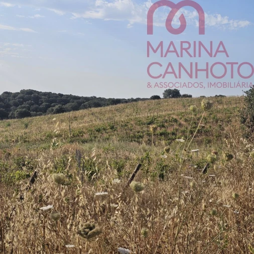 Terreno para Venda em Orada Foto 4