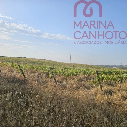 Terreno para Venda em Orada Foto 27