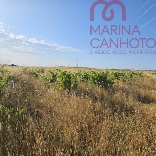 Terreno para Venda em Orada Foto 15