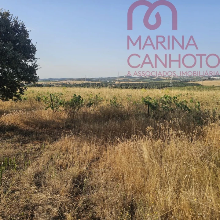 Terreno para Venda em Orada Foto 26