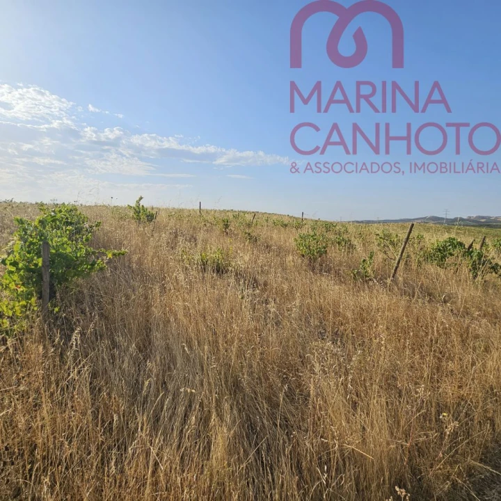 Terreno para Venda em Orada Foto 20