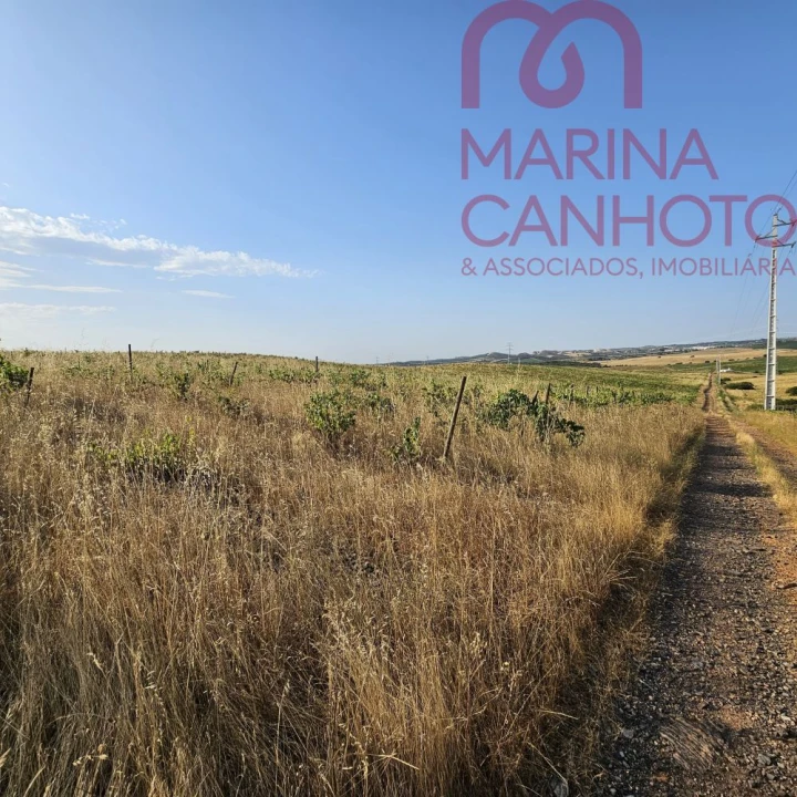 Terreno para Venda em Orada Foto 21