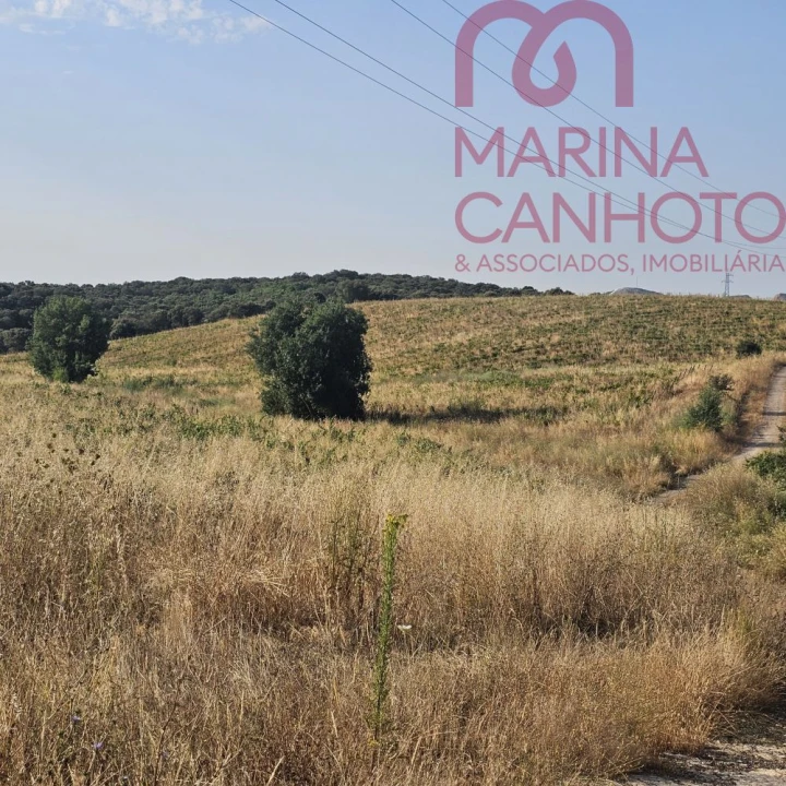 Terreno para Venda em Orada Foto 11