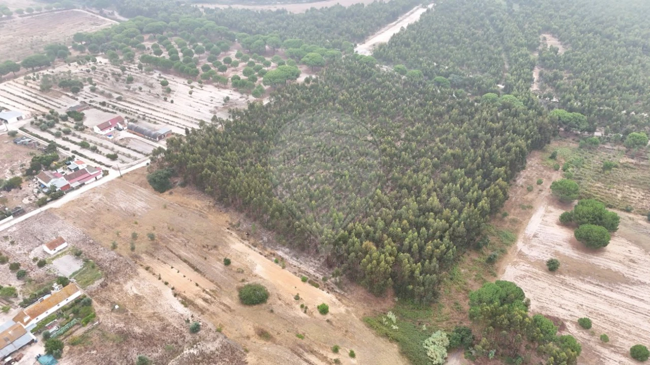Terreno para Venda em Canha Foto 6