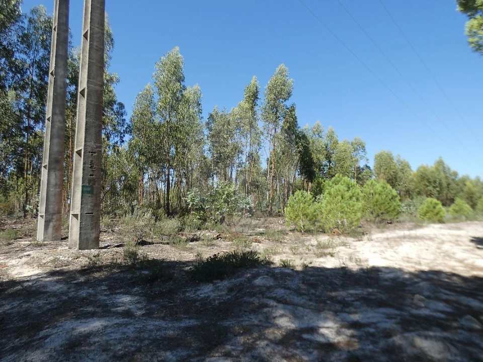 Terreno para Venda em Canha Foto 7