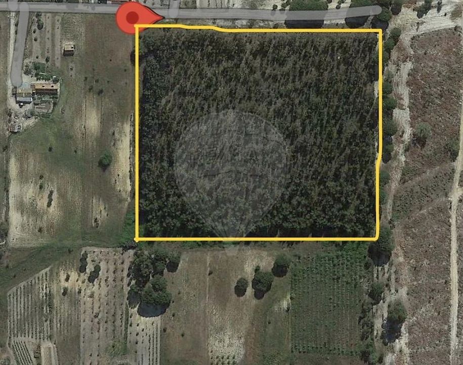 Terreno para Venda em Canha Foto 9