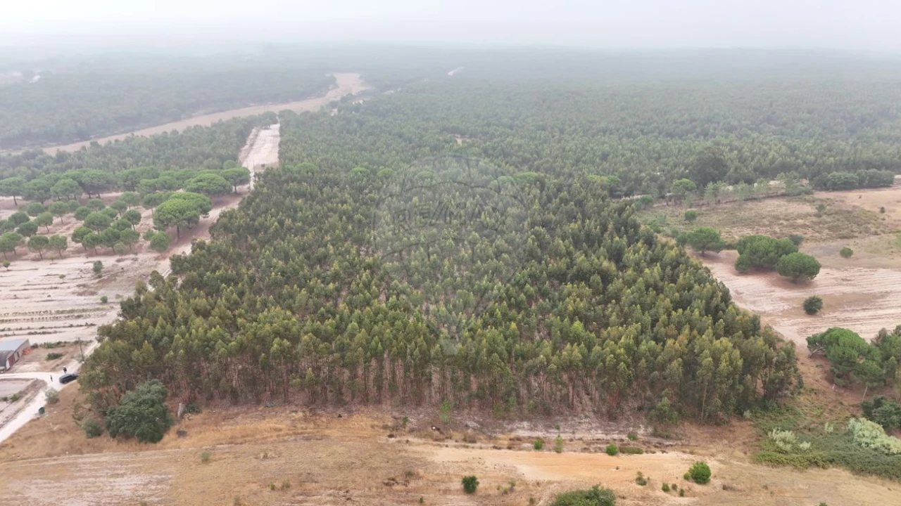 Terreno para Venda em Canha Foto 4