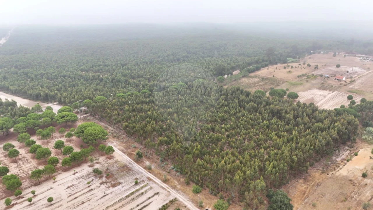 Terreno para Venda em Canha Foto 2
