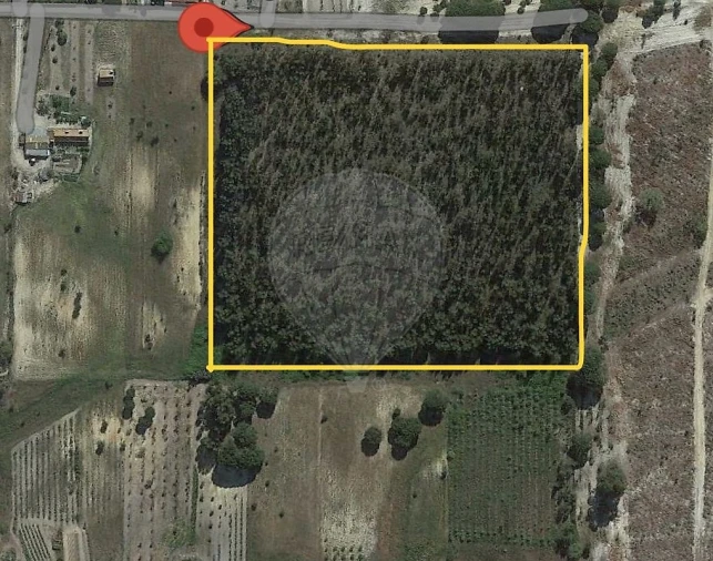 Terreno para Venda em Canha Foto 9