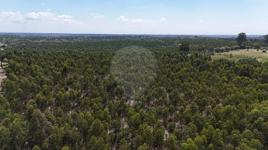 Terreno para Venda em Canha Foto 10