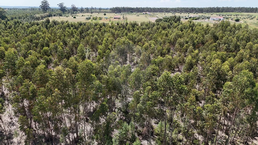 Terreno para Venda em Canha Foto 11