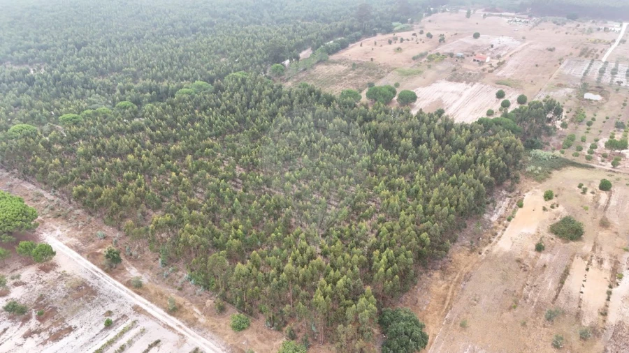 Terreno para Venda em Canha Foto 3