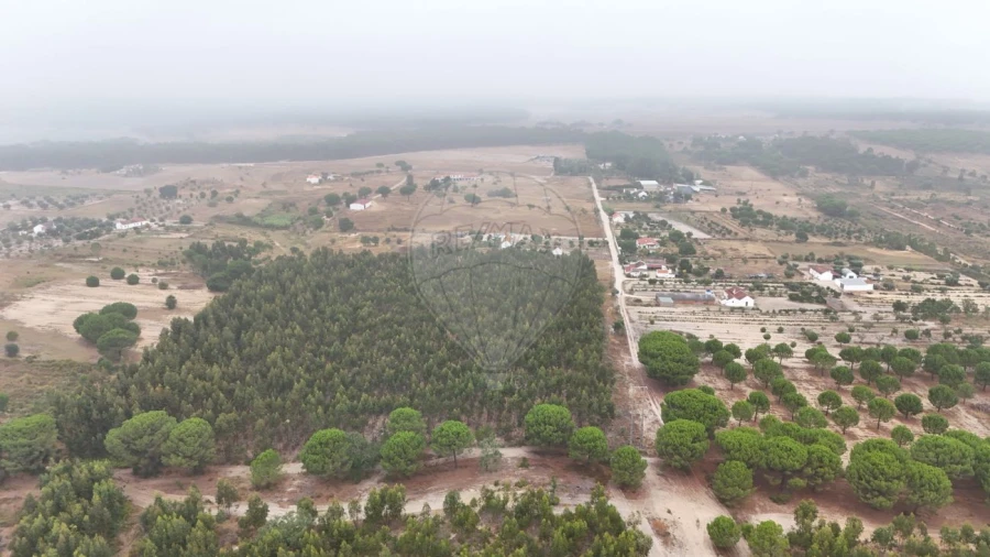 Terreno para Venda em Canha