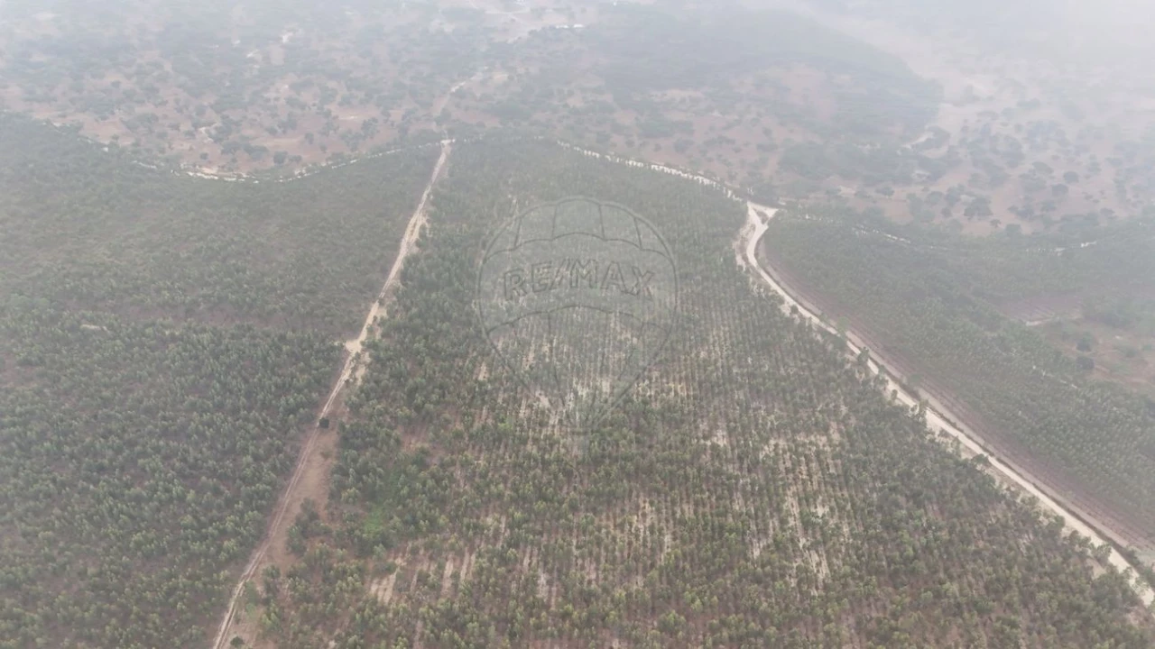 Moradia T4 para Venda em Branca Foto 13