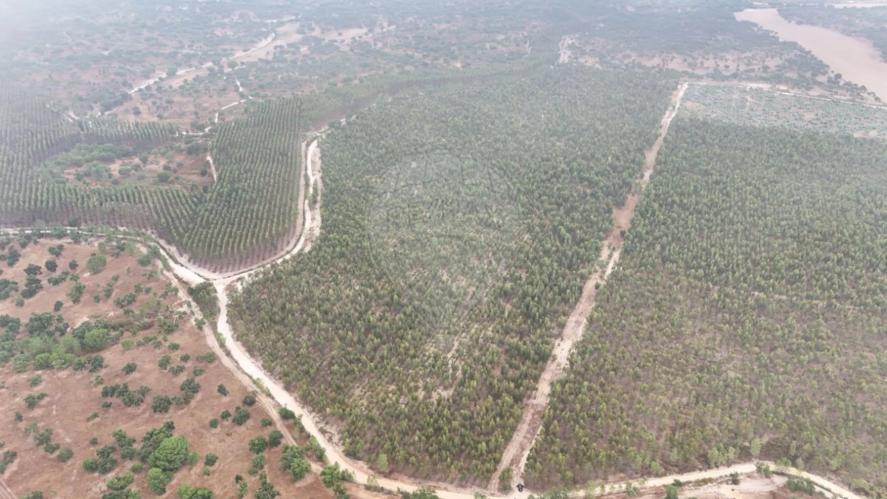 Moradia T4 para Venda em Branca Foto 1