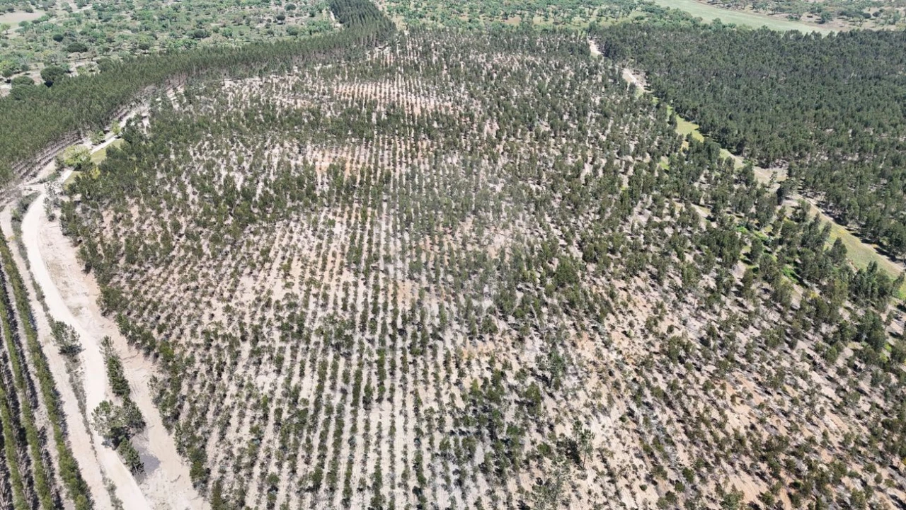 Moradia T4 para Venda em Branca Foto 2