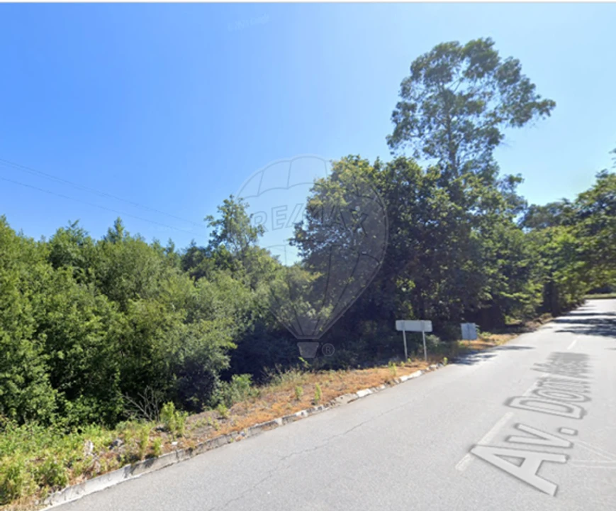Terreno para Venda em Souto Santa Maria, Souto São Salvador e Gondomar Foto 5