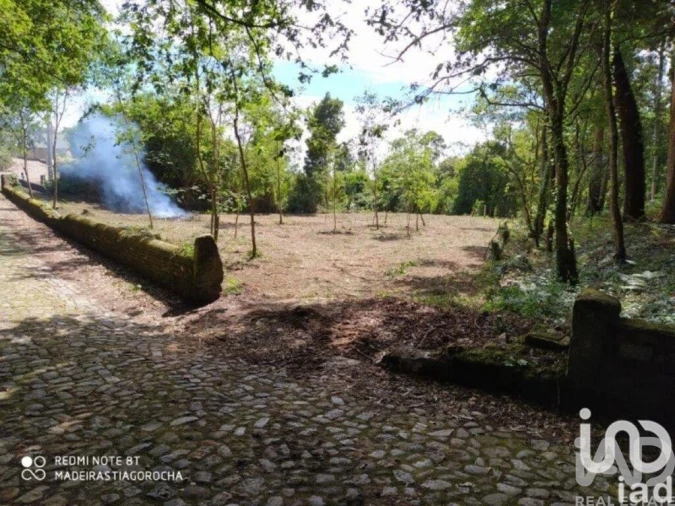 Terreno para Venda em Seixas Foto 2