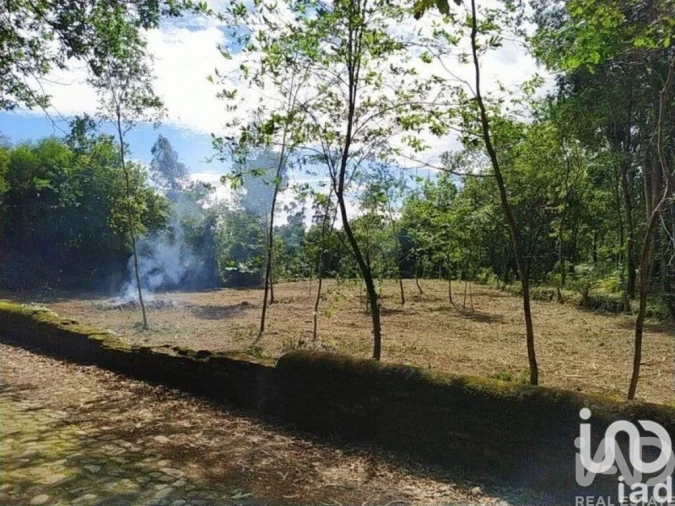 Terreno para Venda em Seixas Foto 3