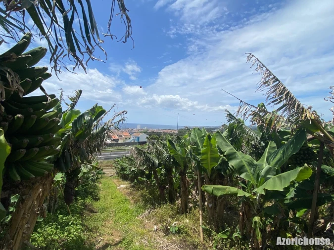 Terreno para Venda em Lagoa (Santa Cruz) Foto 12