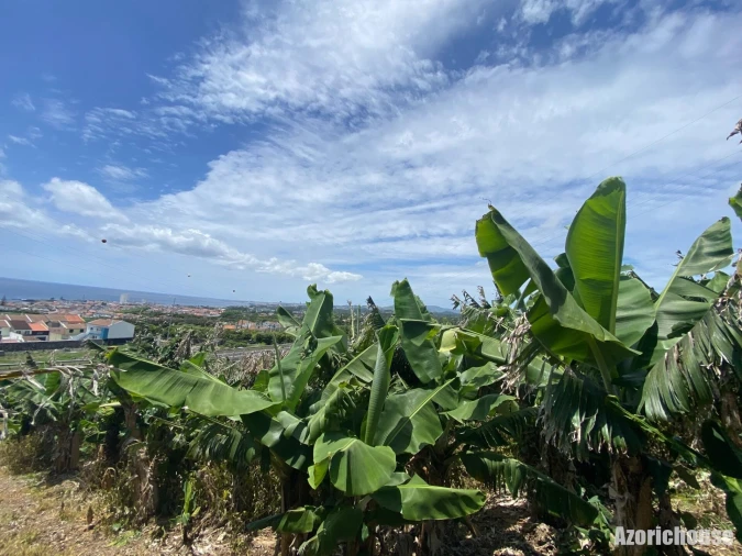 Terreno para Venda em Lagoa (Santa Cruz) Foto 10