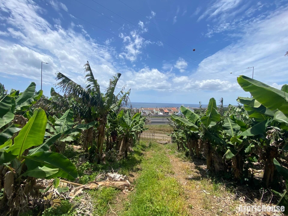 Terreno para Venda em Lagoa (Santa Cruz) Foto 14