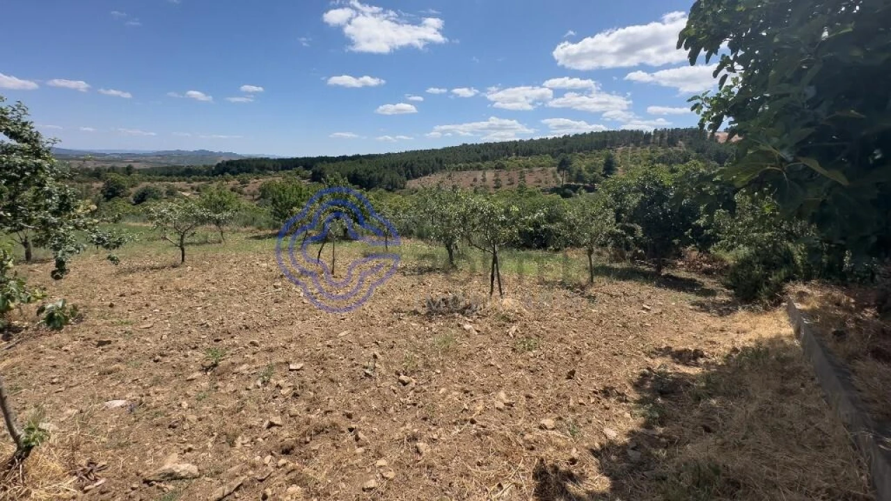 Quinta T3 para Venda em Carrazedo de Montenegro e Curros Foto 3