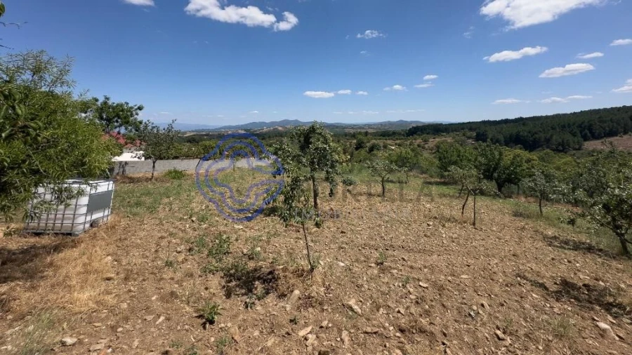 Quinta T3 para Venda em Carrazedo de Montenegro e Curros Foto 1