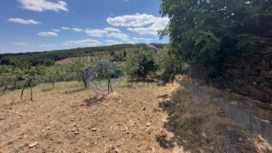 Quinta T3 para Venda em Carrazedo de Montenegro e Curros Foto 4