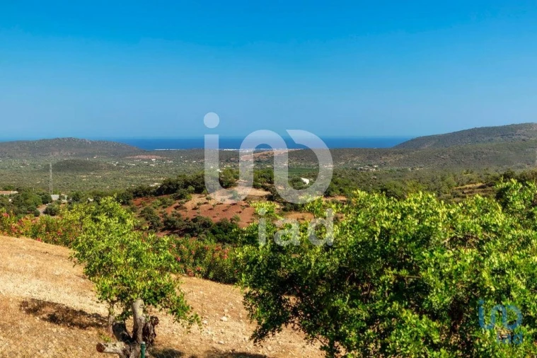 Moradia T3 para Venda em São Brás de Alportel Foto 4