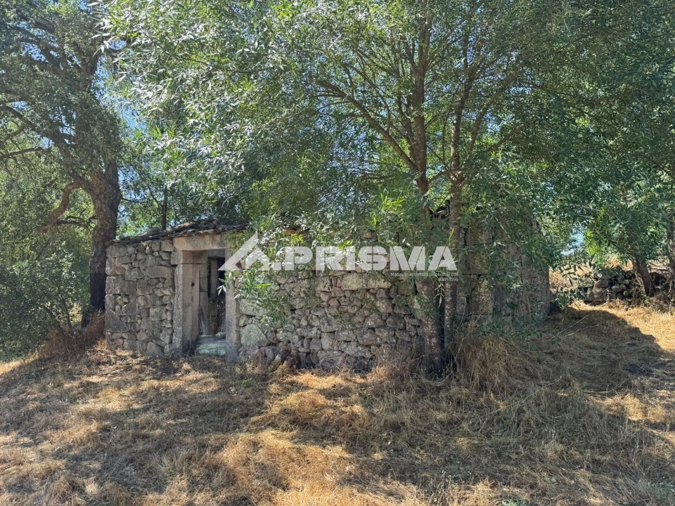 Terreno para Venda em Póvoa de Rio de Moinhos e Cafede Foto 1