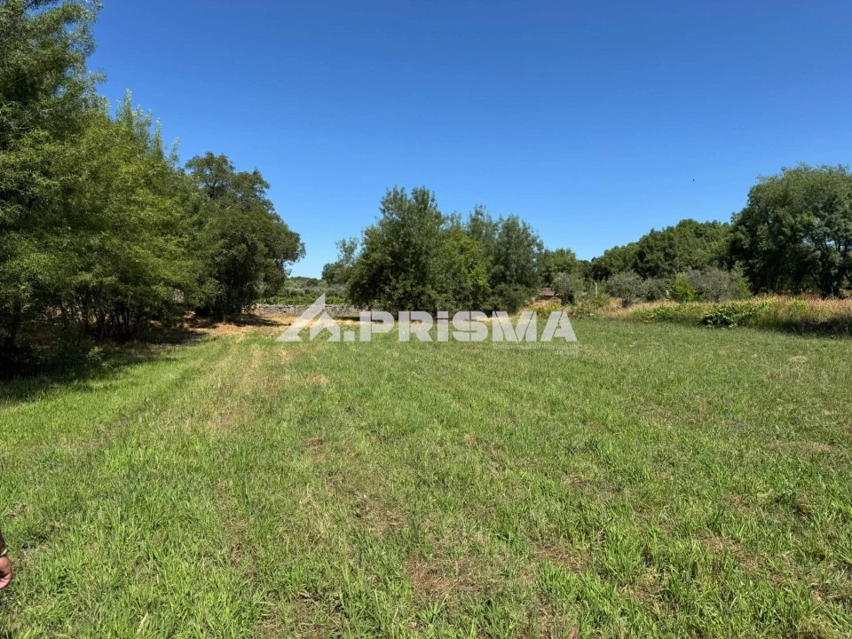 Terreno para Venda em Póvoa de Rio de Moinhos e Cafede Foto 3