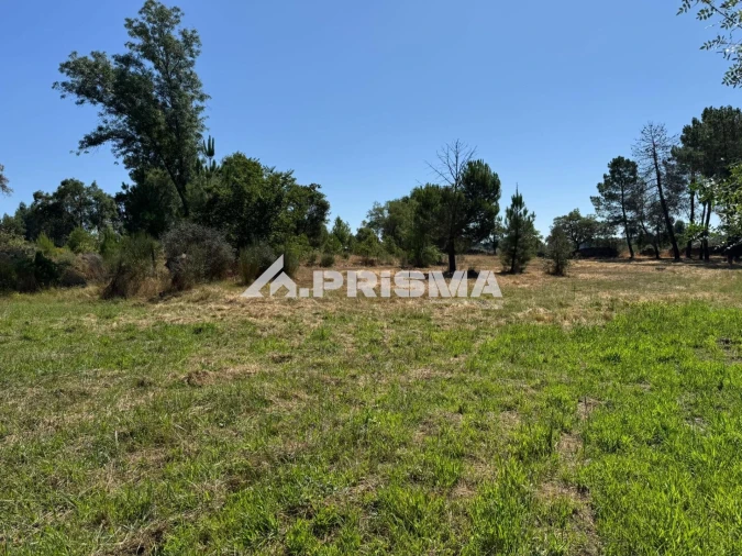 Terreno para Venda em Póvoa de Rio de Moinhos e Cafede Foto 6
