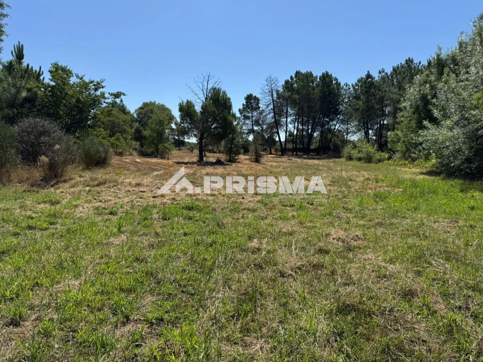 Terreno para Venda em Póvoa de Rio de Moinhos e Cafede Foto 5