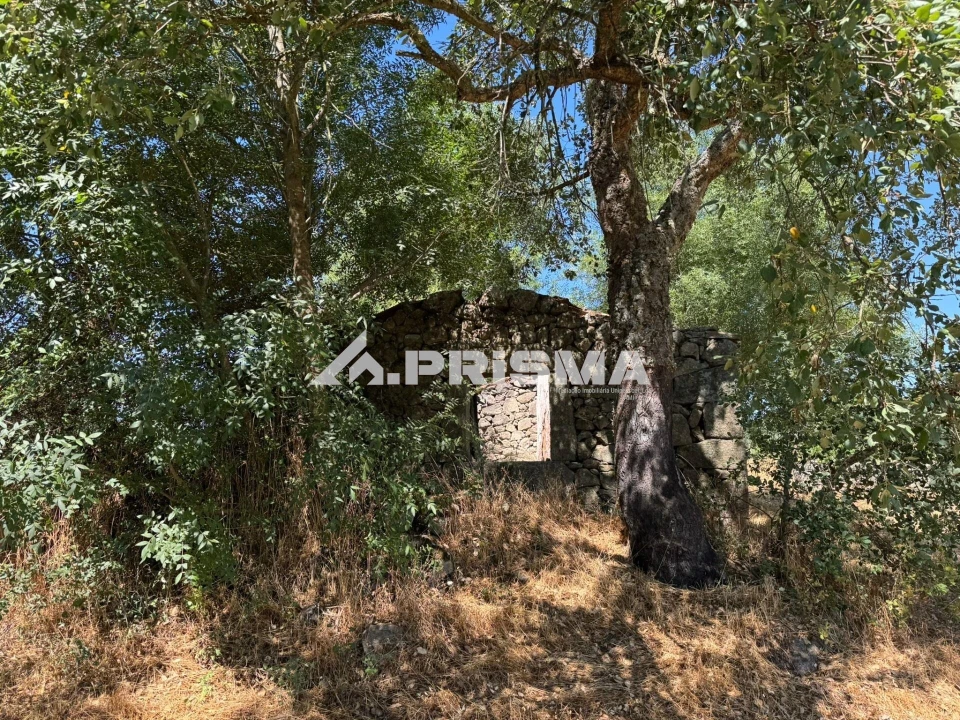 Terreno para Venda em Póvoa de Rio de Moinhos e Cafede Foto 4