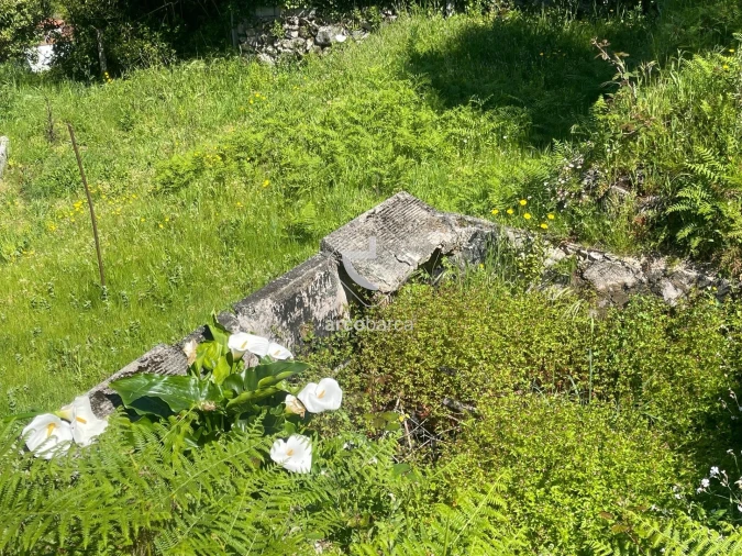 Moradia T2 para Venda em Vale Foto 19