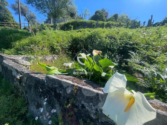 Moradia T2 para Venda em Vale Foto 21