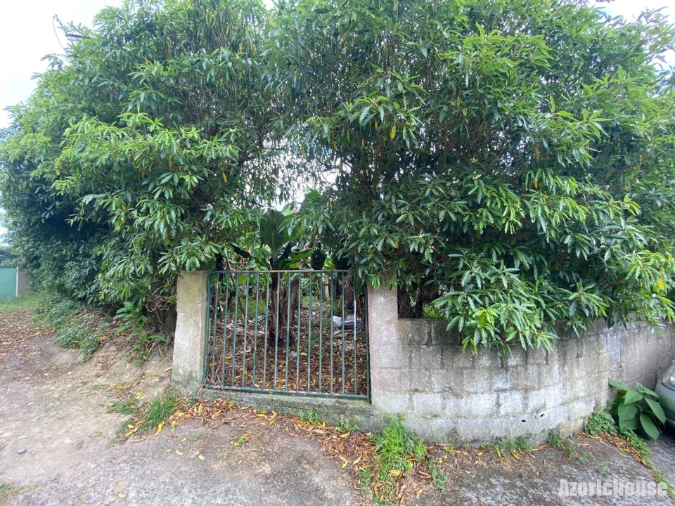 Terreno para Venda em Ribeira Seca Foto 6