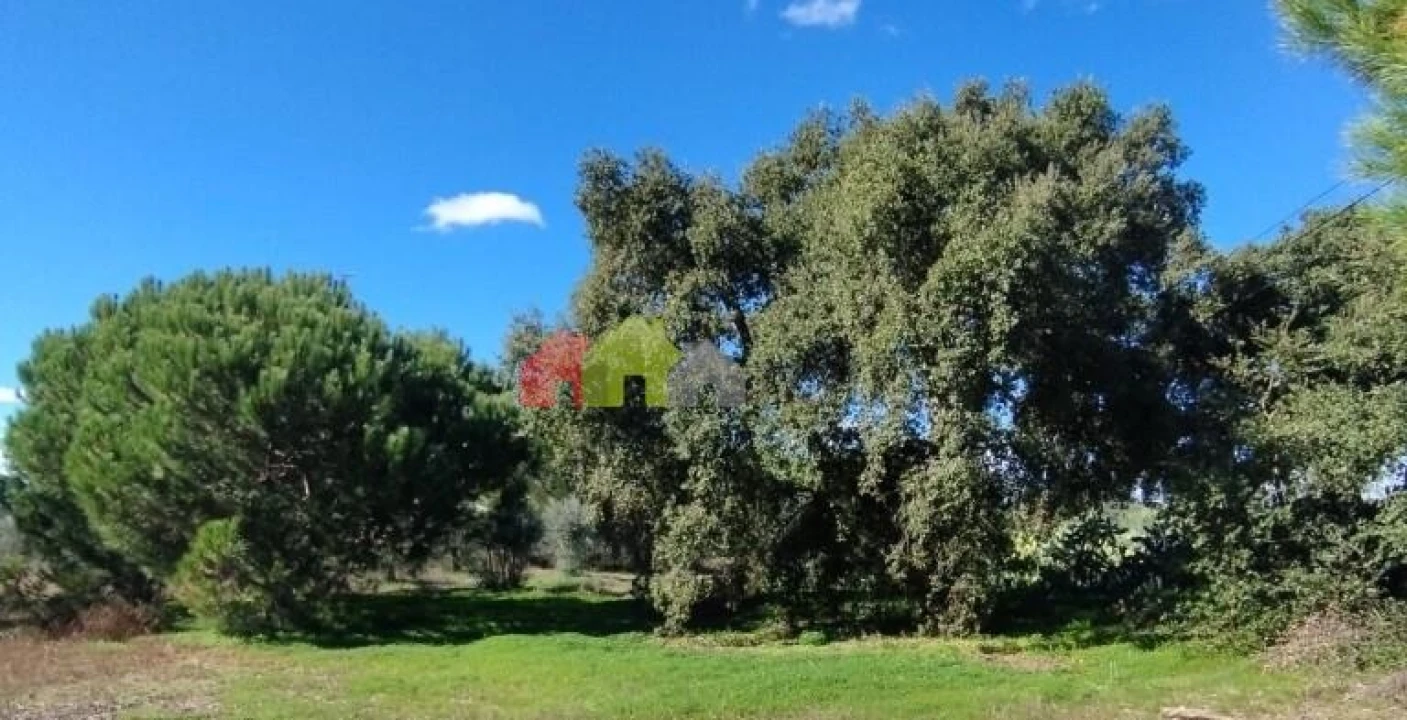 Terreno para Venda em Vendas Novas Foto 10