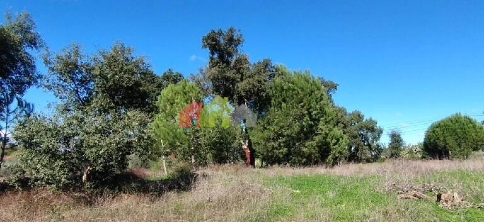 Terreno para Venda em Vendas Novas Foto 4