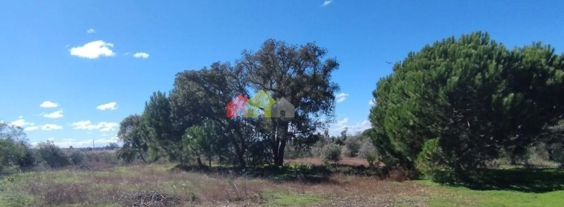 Terreno para Venda em Vendas Novas Foto 8