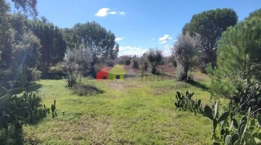 Terreno para Venda em Vendas Novas Foto 7