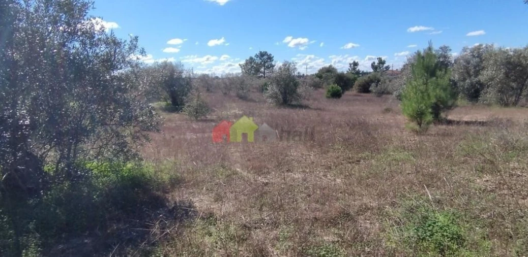 Terreno para Venda em Vendas Novas Foto 9