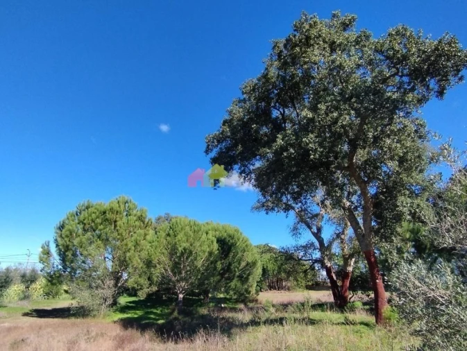 Terreno para Venda em Vendas Novas Foto 3