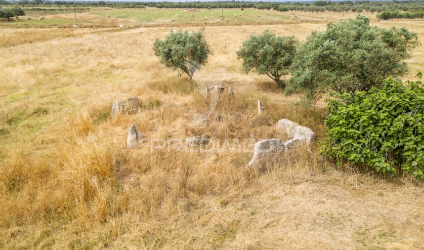 Quinta T1 para Venda em Vale de Santiago Foto 17